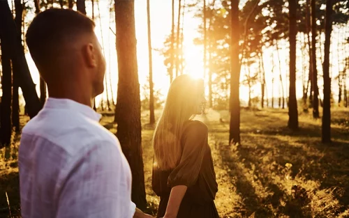 Paar hält sich an den Händen im Sonnenuntergang im Wald – Symbol für emotionale Balance, Vertrauen und harmonische Partnerschaft im Berufsalltag.